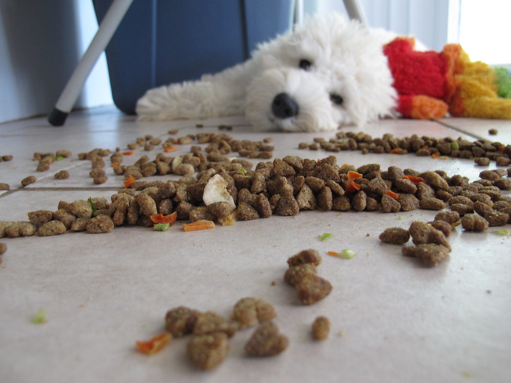 All-Natural Dog Food For A Balanced Diet 