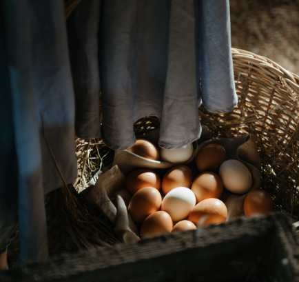 Brown Eggs in Brown Woven Basket · Free Stock Photo