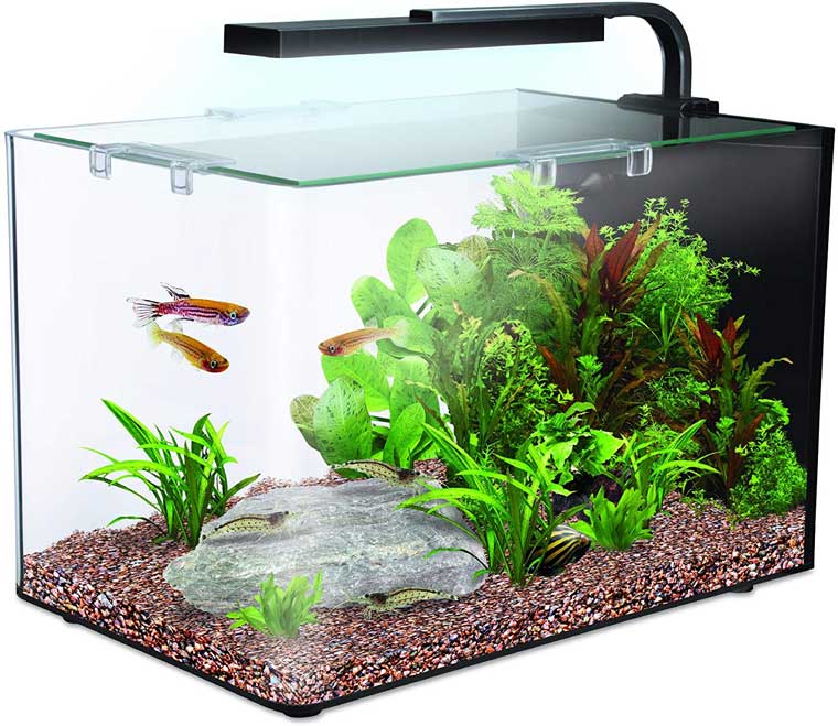 Interpet Nano LED Complete Aquarium Fish Tank