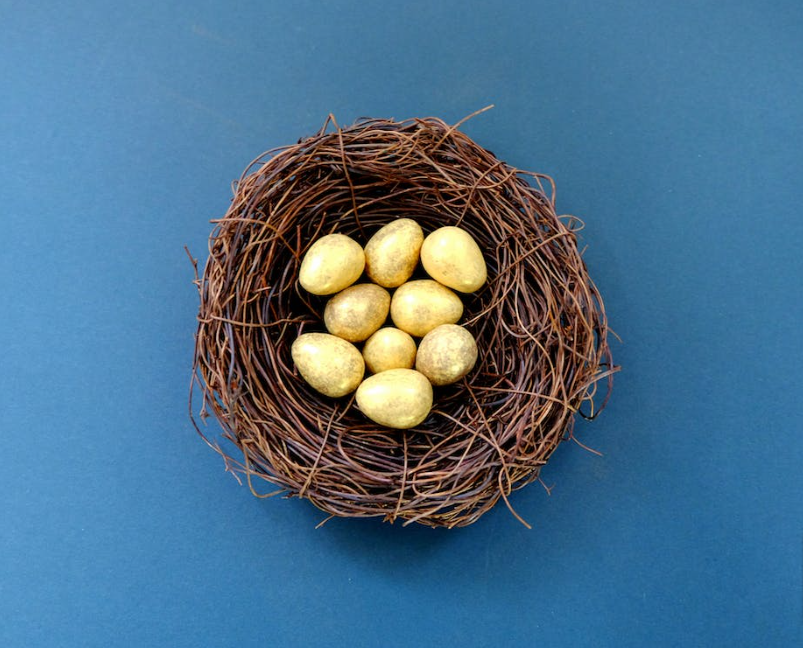 White Eggs in Brown Nest · Free Stock Photo