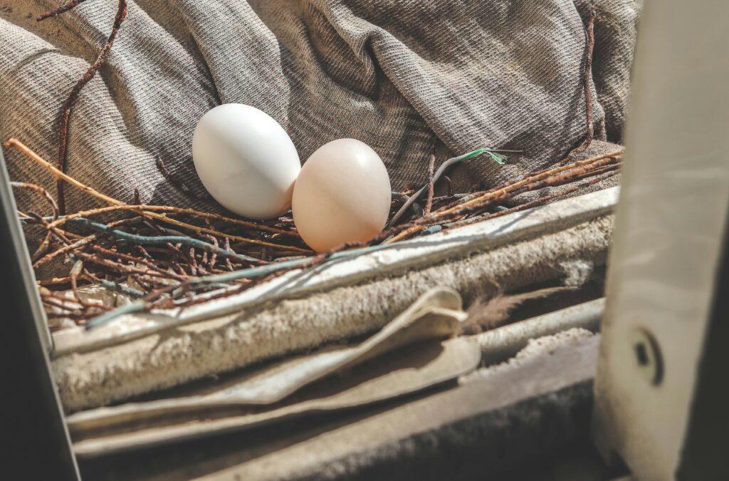 How long can eggs be left out?