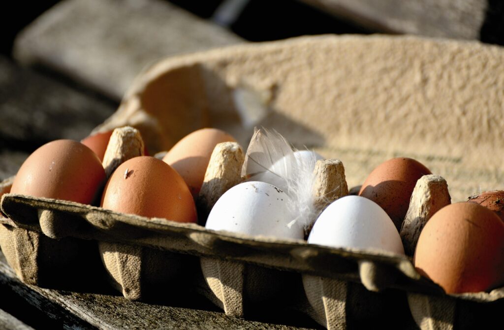 How long are farm fresh eggs good for on the counter?