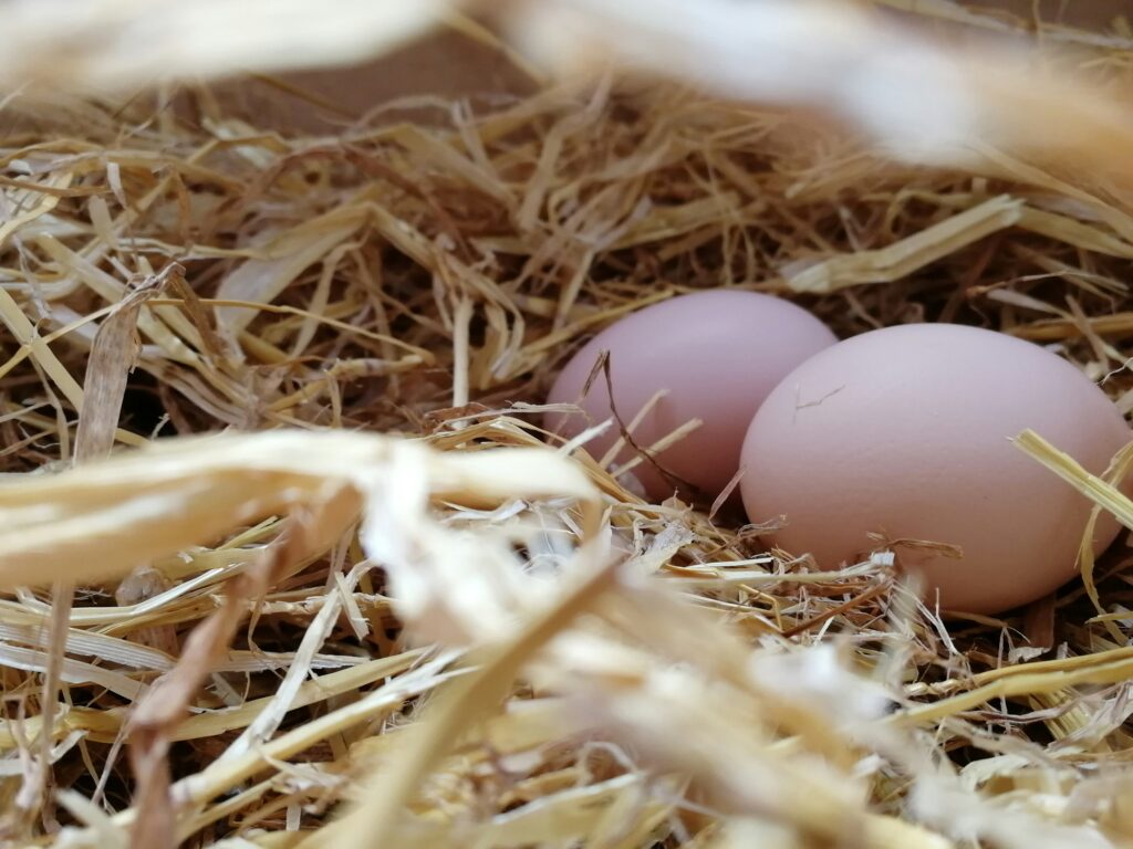 How long can eggs be left out?