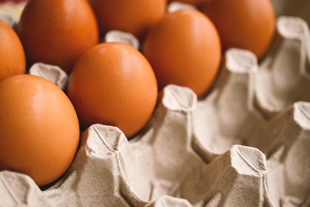 Chicken breeds and egg colors