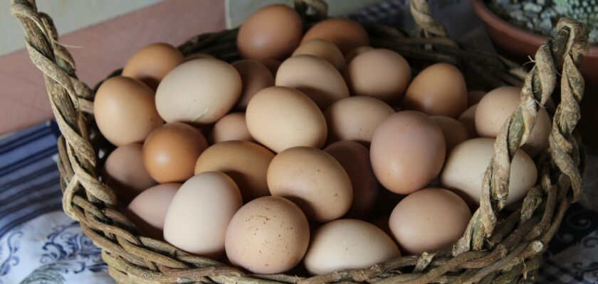 How many eggs does a hen lay a day?