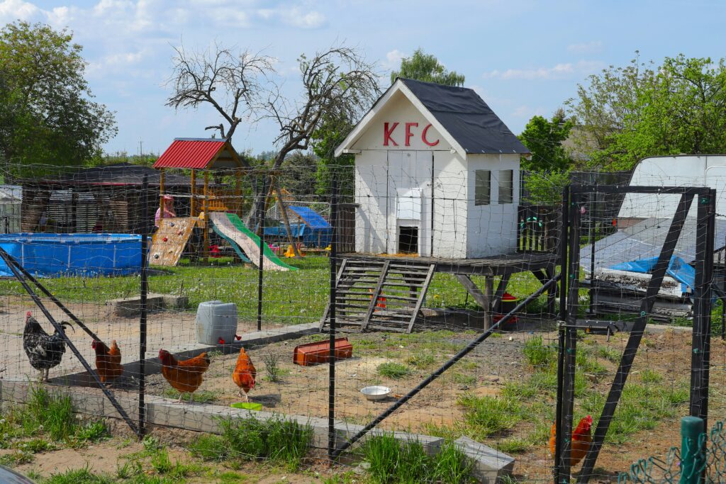 Chicken coops for sale near me