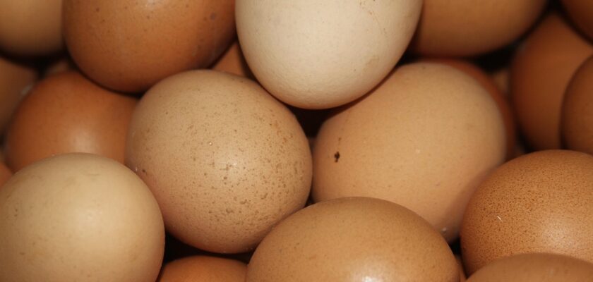 How to water glass eggs