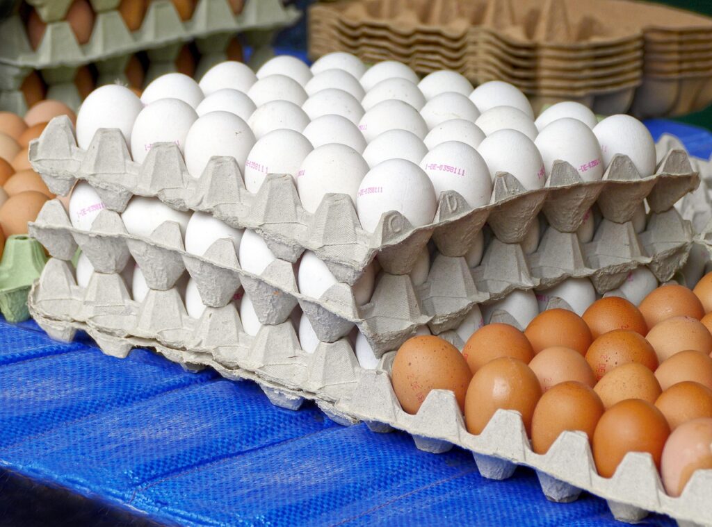 How long will fresh eggs last unrefrigerated?