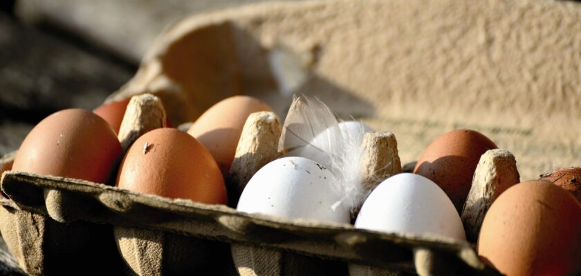 How long are washed eggs good for?