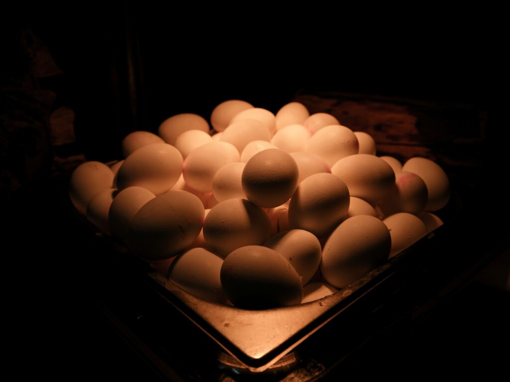 How long do farm fresh eggs stay on the counter?