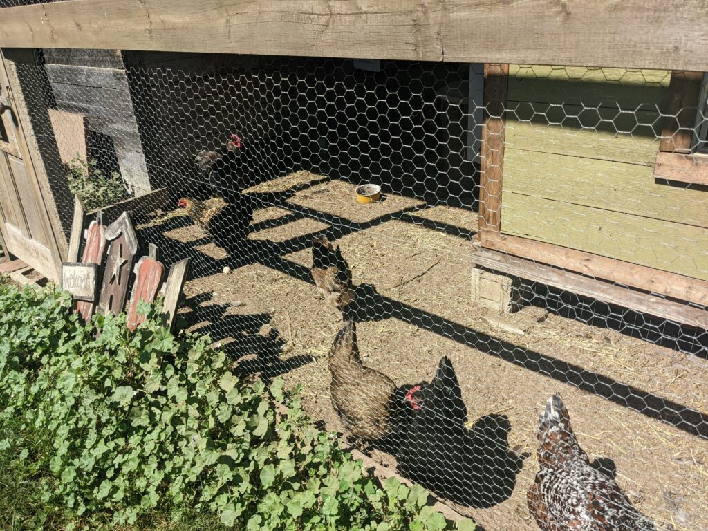 Mobile chicken coop for sale